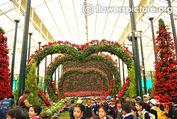 Floral heart and tree lalbagh flower show jan 2016