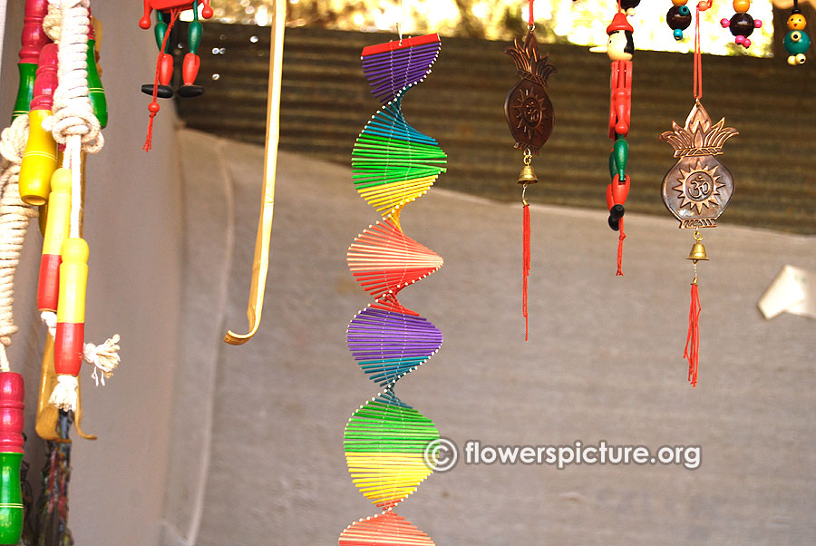 Flower show colorful accessories shop bangalore