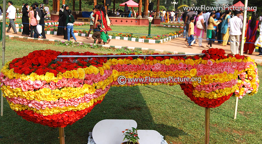 Flower veena-Lalbagh-flower-show-Republic day-2015