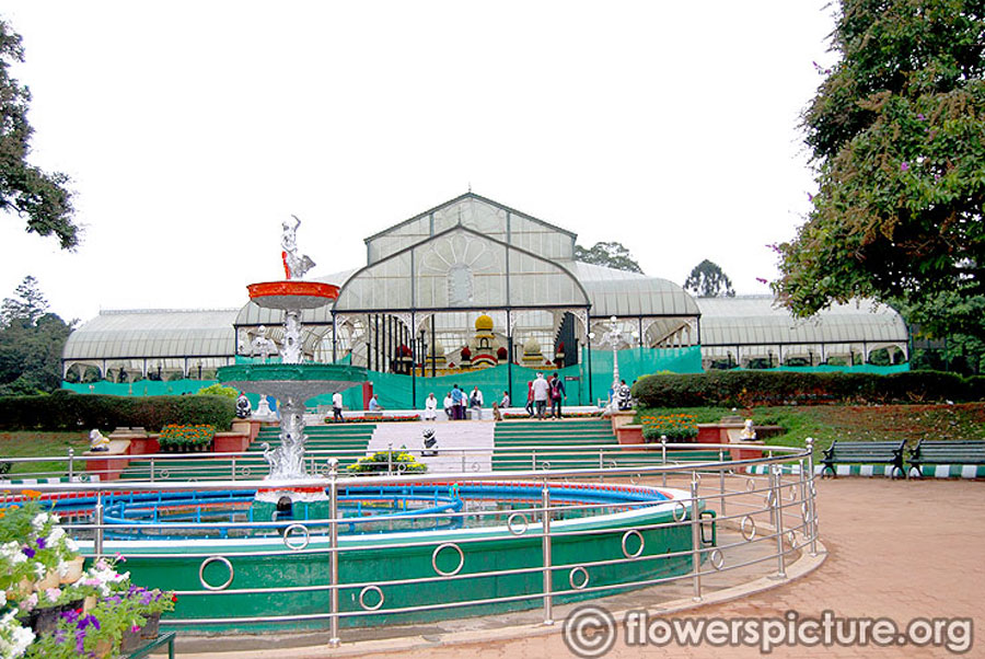 Independence day flower show-Lalbagh August 2014