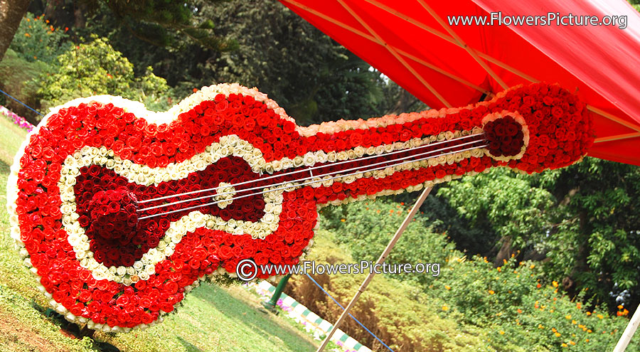 Flower guitar