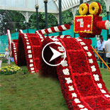 Ooty flower show 2017 video