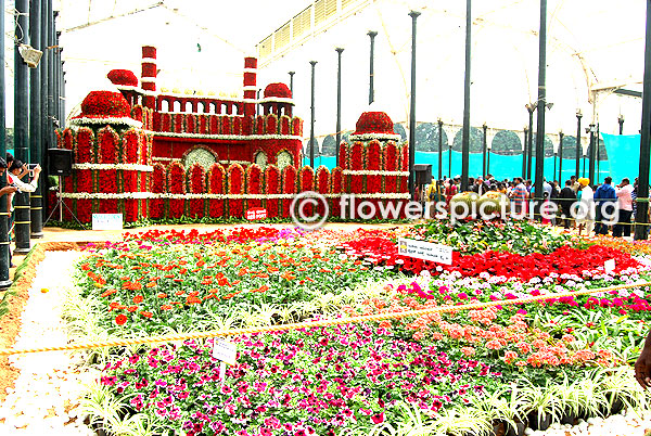 Flower red fort creation in lalbagh glass house
