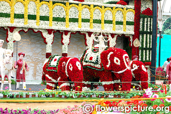 Mysore palace elephant ride in dasara festival