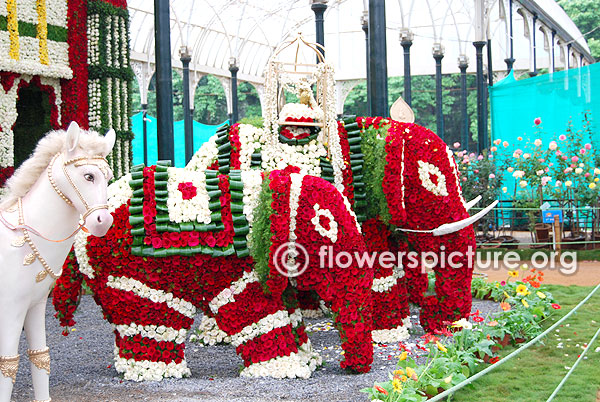 Mysore palace elephant ride