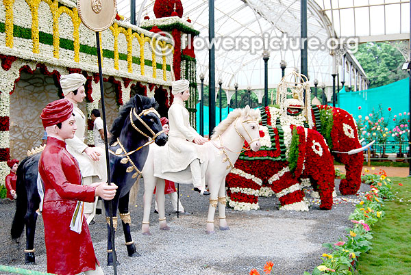 Mysore palace horses & elephants