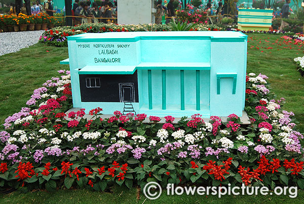 Mysore horticulture society lalbagh bangalore miniature