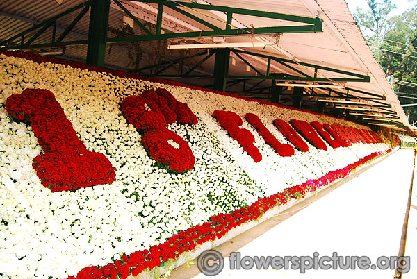 118 ooty flower show 2014