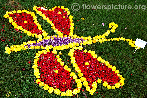 Butterfly flower rangoli