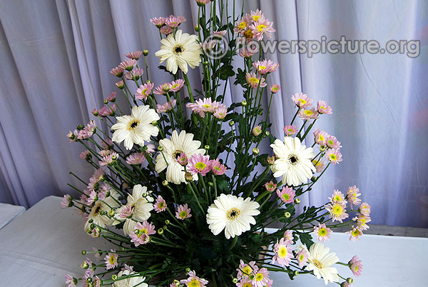 Gerbera and chrysanthemum bouquet