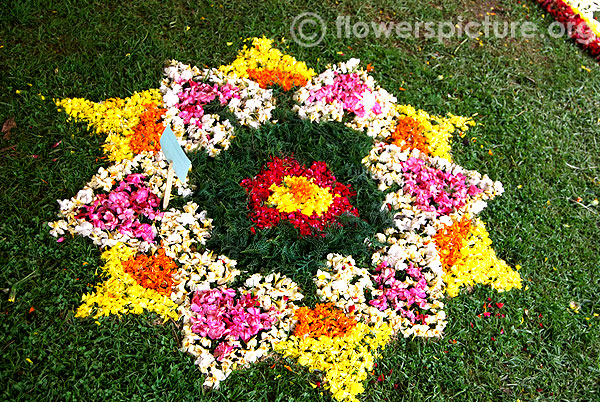 Marigold frangipani flower rangoli design