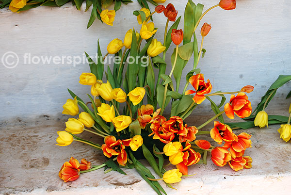 Red and yellow tulip bouquet