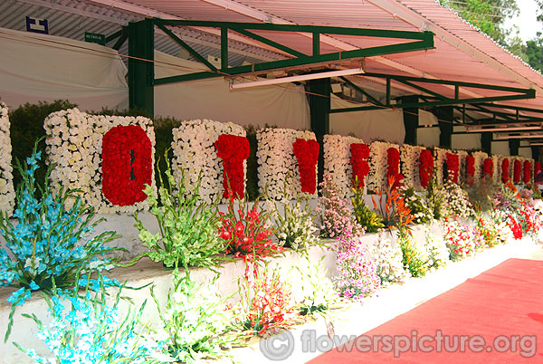 Gladiolus flower varieties arrangement ooty botanical garden