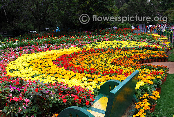Half circle flower garden beds ooty botanical garden