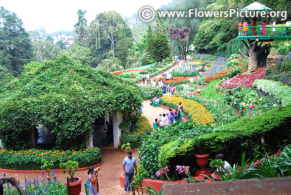 Government botanical garden ooty