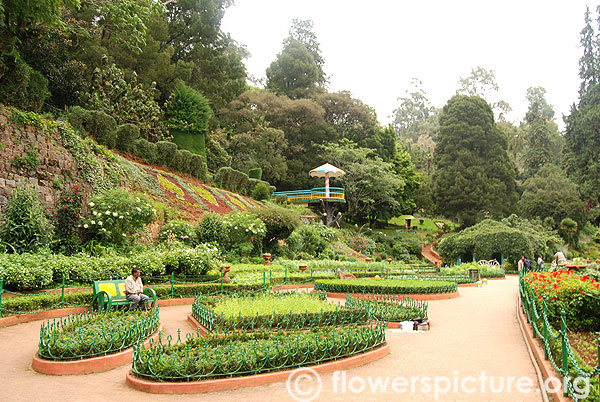 Government botanical garden-Ooty-Garden beds