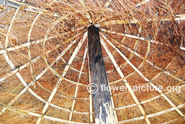 Hut roof design in trichy butterfly park