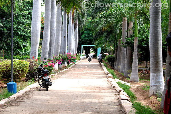 Tamil Nadu Agricultural University Botanical Garden-Coimbatore-Entrance