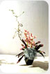 Bunch of flowers