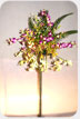 Bunch of flowers