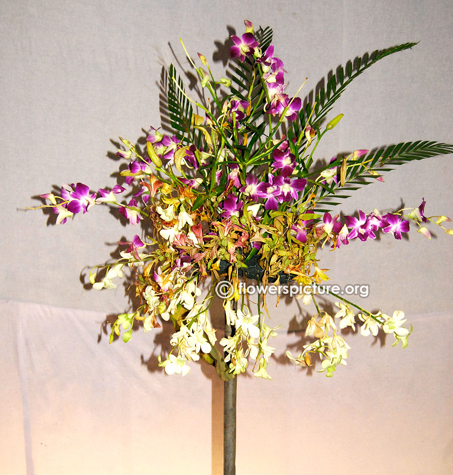 Orchids flower vase