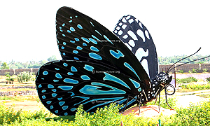 Trichy Butterfly Park