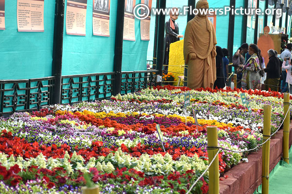 Floral bed