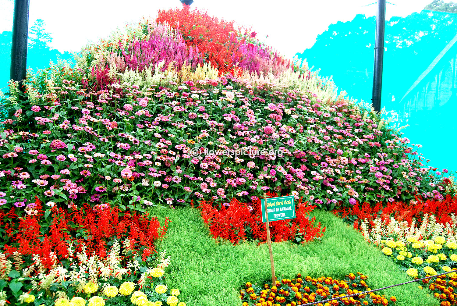 200th Lalbagh Flower Show August 2014 Photos Gallery 2 ...
